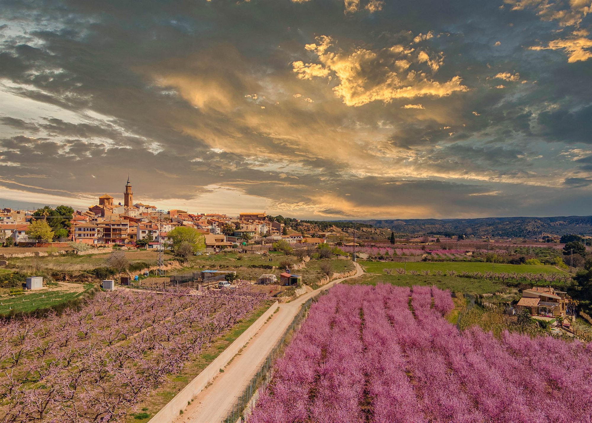 Vista aérea de Calanda con los campos de melocotoneros en flor